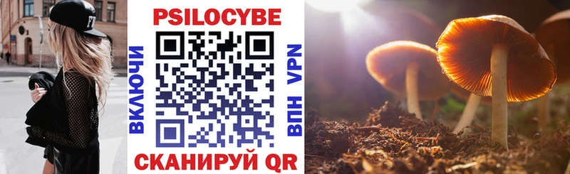 Псилоцибиновые грибы прущие грибы  купить наркотик  Нальчик 